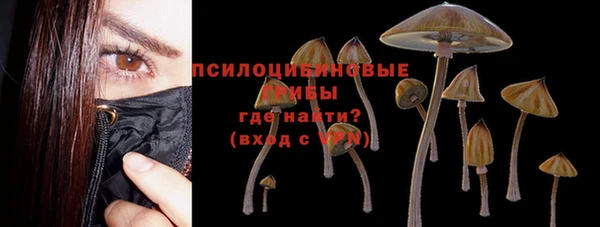 дмт Бугульма