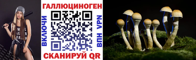 Галлюциногенные грибы Cubensis  blacksprut ссылка  Саратов 